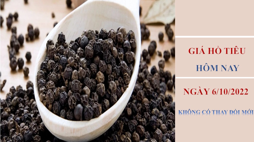 Giá hồ tiêu hôm nay 6/10/2022: Không ghi nhận thay đổi mới