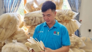 Anh nông dân biến xơ mướp thành "vàng"