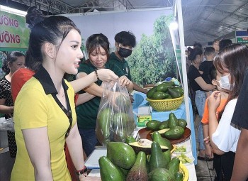 Nông sản vươn xa nhờ chủ động xây dựng thương hiệu