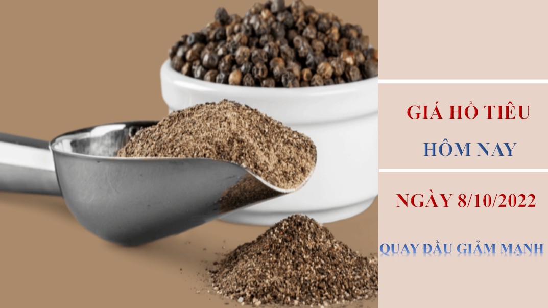 Giá hồ tiêu hôm nay 8/10/2022: Quay đầu giảm mạnh