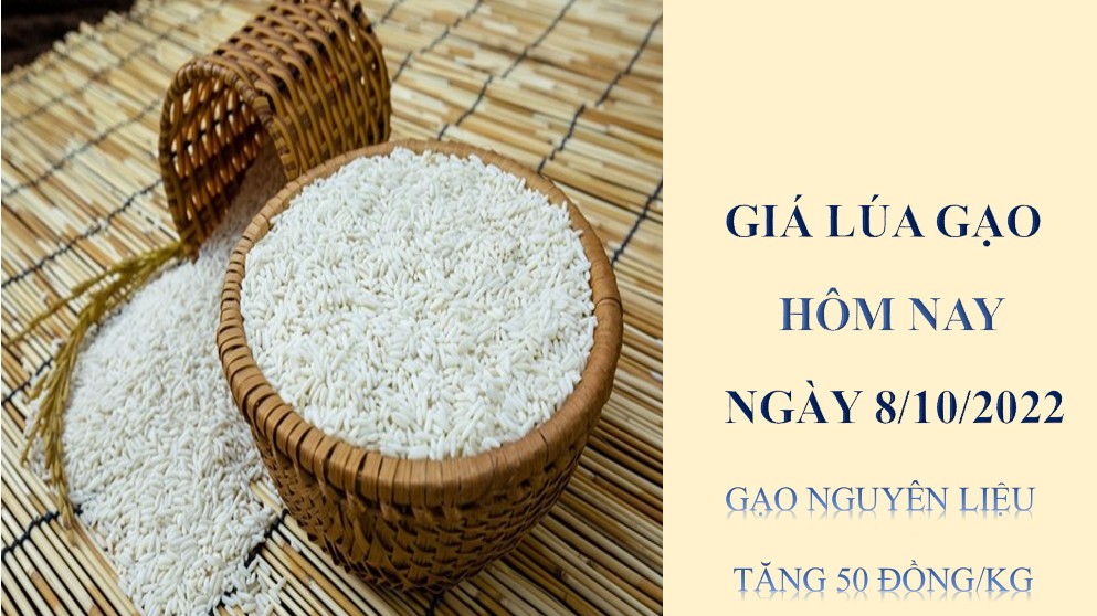 Giá lúa gạo hôm nay 8/10/2022: Gạo nguyên liệu tăng 50 đồng/kg