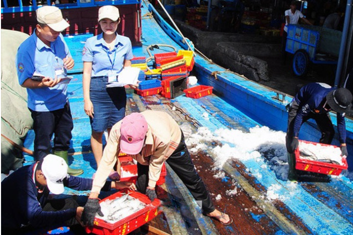 Tăng cường truy xuất nguồn gốc nhằm thúc đẩy lợi nhuận thủy sản toàn cầu