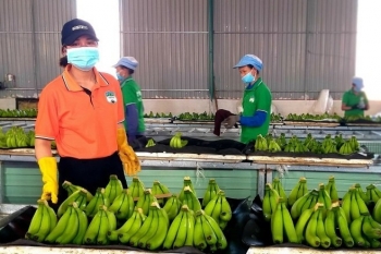 Cổ phiếu HAG sang diện cảnh báo từ ngày 11/10