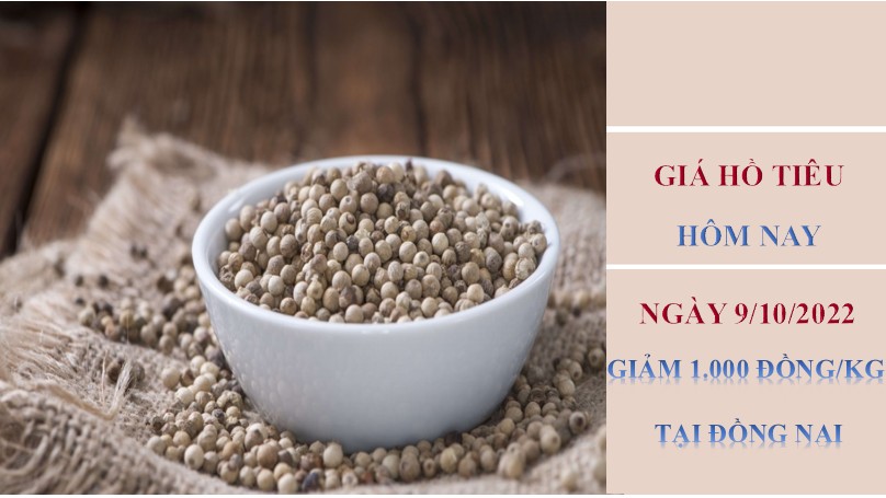 Giá hồ tiêu hôm nay 9/10/2022: Giảm 1.000 đồng/kg tại Đồng Nai