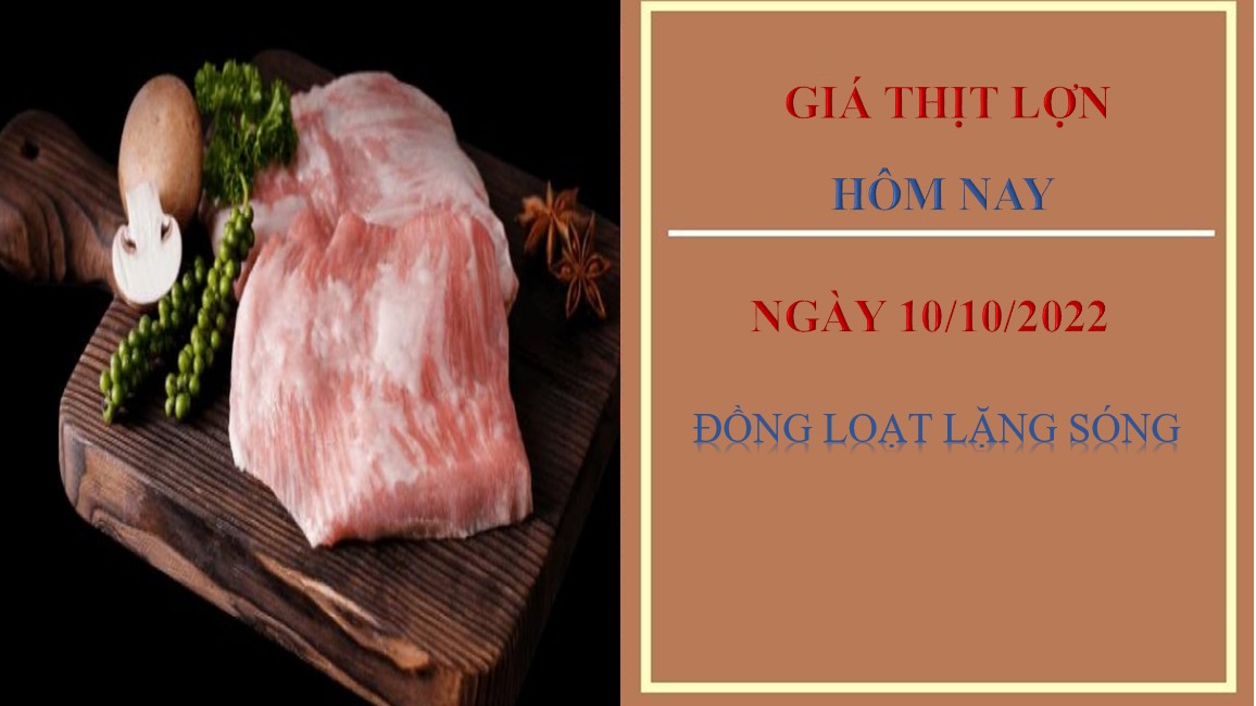 Giá thịt lợn hôm nay 10/10/2022: Đồng loạt lặng sóng