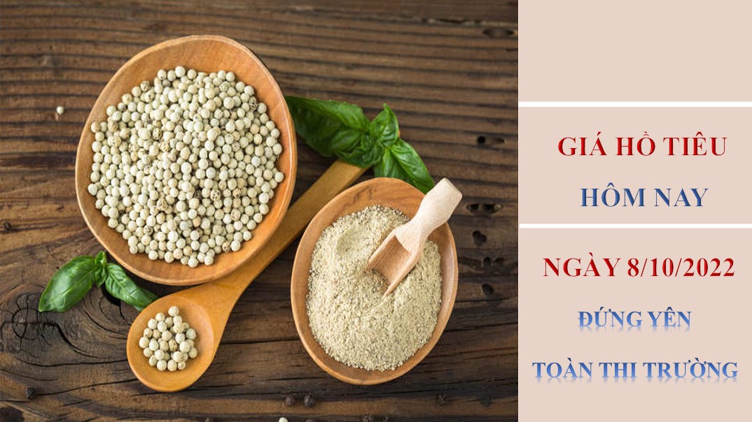 Giá hồ tiêu hôm nay 10/10/2022: Đứng yên toàn thị trường