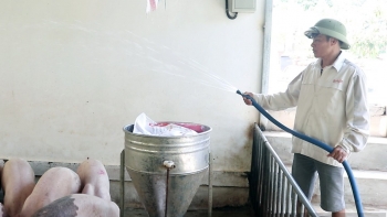 Thành tỷ phú vùng cao nhờ mạnh tay bỏ trồng ngô, khoai, sắn