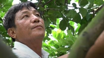 Nông nghiệp đô thị tạo ra những tỷ phú năng động