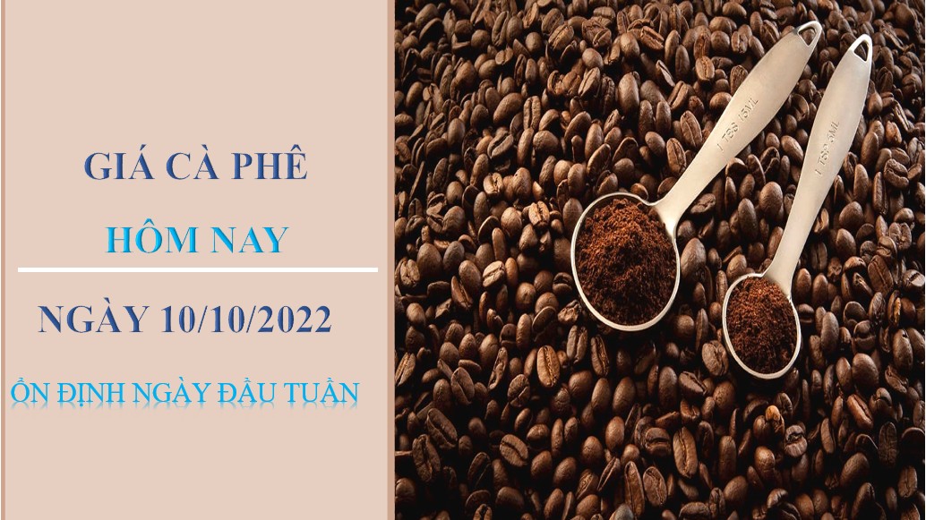 Giá cà phê hôm nay 10/10/2022: Ổn định ngày đầu tuần