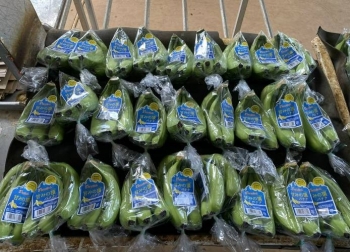 HAGL báo lãi 113 tỷ đồng trong tháng 9