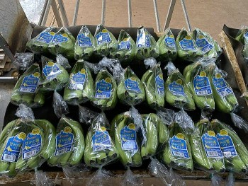 HAGL báo lãi 113 tỷ đồng trong tháng 9