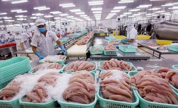 Những thách thức với doanh nghiệp xuất khẩu thủy sản dịp cuối năm