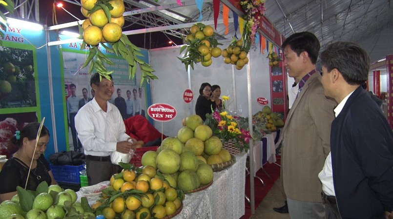 Gian hàng trưng bày sản phẩm OCOP Hưng Yên. Gian hàng trưng bày sản phẩm OCOP Hưng Yên.