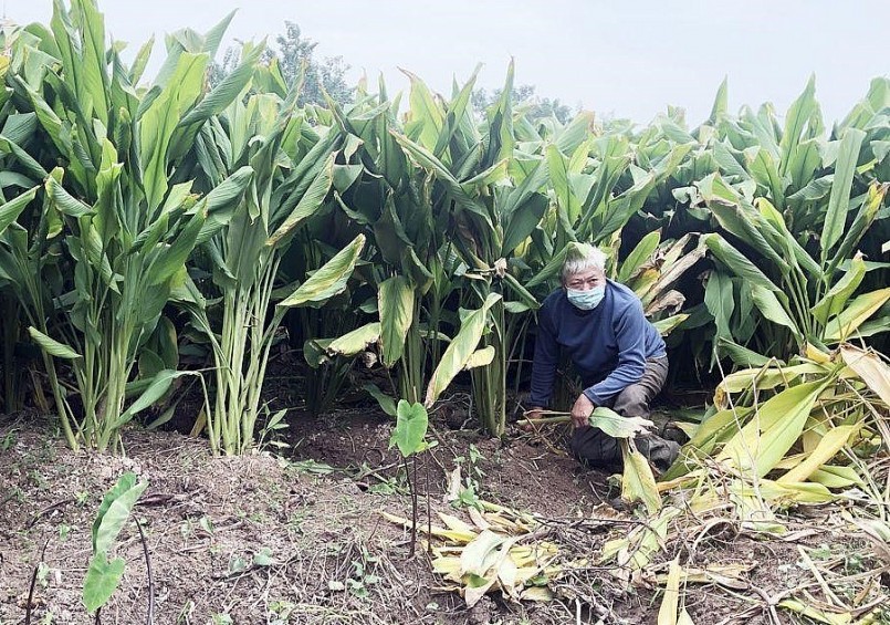 ocop-hung-yen-2 ocop-hung-yen-2