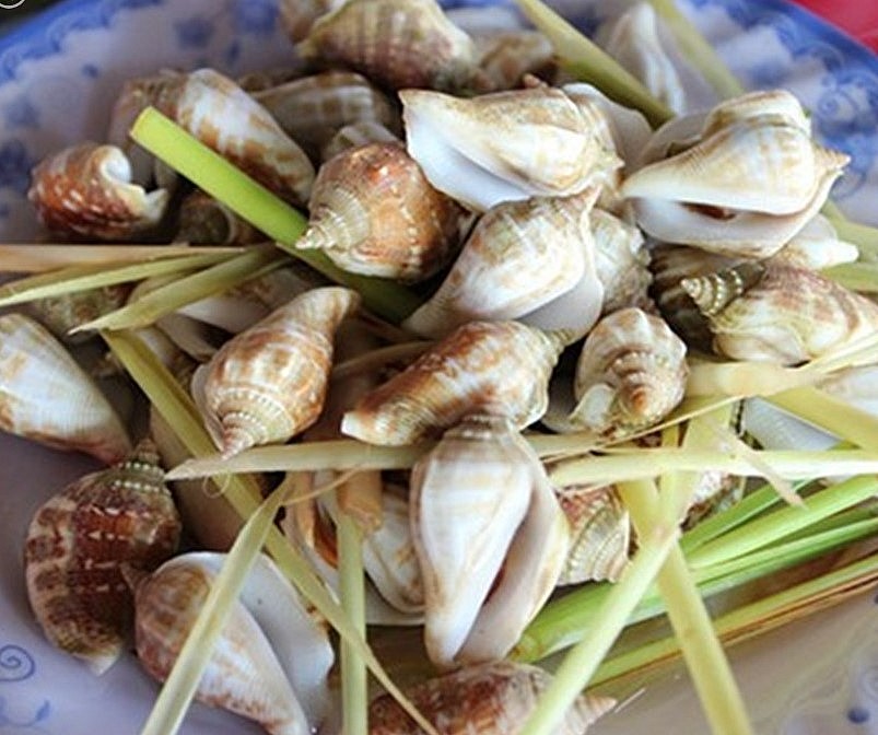 Ốc nhảy tự nhiên ngày càng khan hiếm.