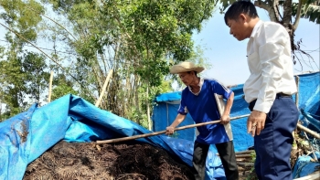 Mỏ vàng phụ phẩm nông nghiệp đang bị bỏ phí