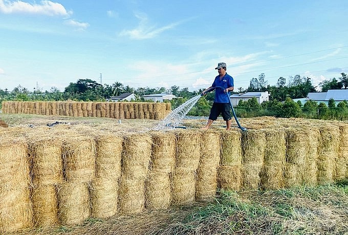 Khai thác hiệu quả phụ phẩm nông nghiệp sẽ đem lại nguồn lợi nhuận khổng lồ và hạn chế ô nhiễm môi trường.