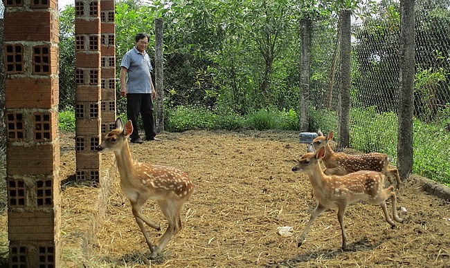 Một phần đàn hươu của ông Nguyễn Trọng Đào