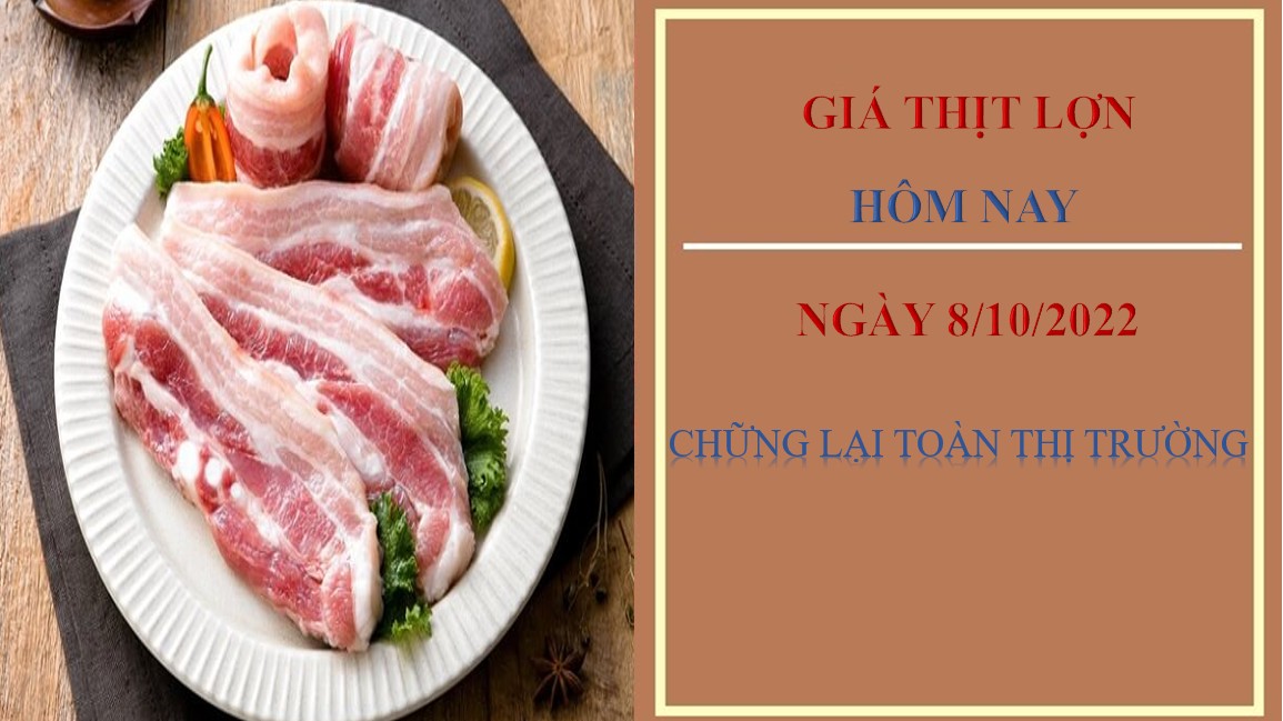 Giá thịt lợn hôm nay 11/10/2022: Chững lại toàn thị trường