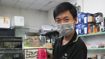 Nuôi kiến cảnh làm thú cưng vừa vui lại kiếm tiền rủng rỉnh