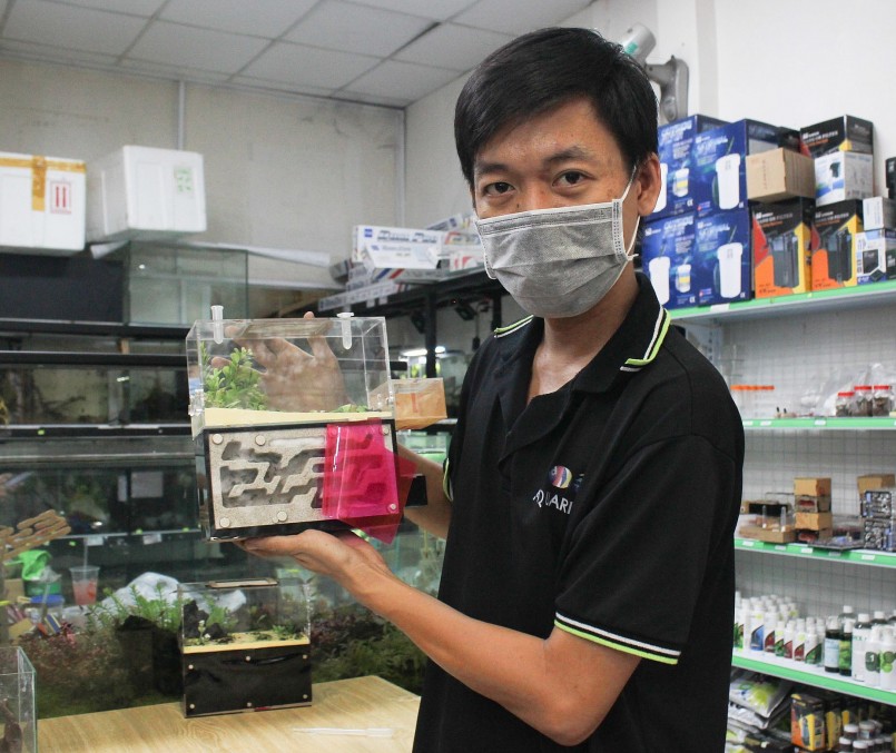 Anh Nhựt đến với nghề nuôi kiến cảnh rất tình cờ. Anh Nhựt đến với nghề nuôi kiến cảnh rất tình cờ.