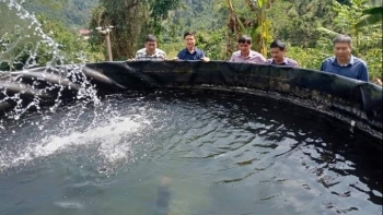 Đưa cá tầm lên núi, thanh niên người Dao mở hướng làm giàu cho cả bản