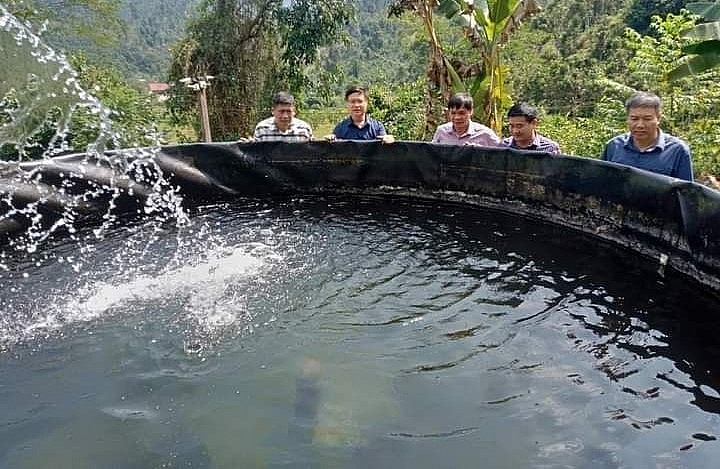 Mô hình nuôi cá tầm trên núi có nhiều triển vọng.