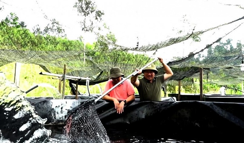 Giám đốc Đặng Văn Chính bên bể nuôi cá tầm tại xã Yên Phú, huyện Văn Yên, tỉnh Yên Bái.