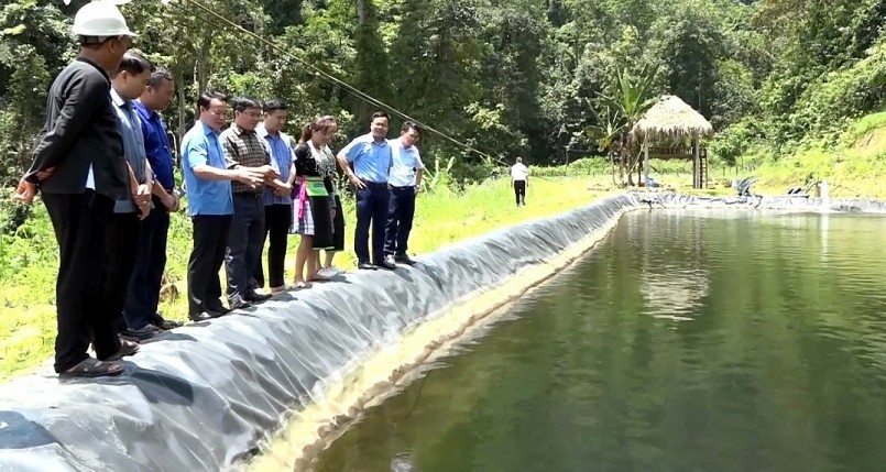 Mô hình nuôi cá tầm thương phẩm được đánh giá hiệu quả trong việc thúc đẩy phát triển kinh tế khu vực vùng cao.