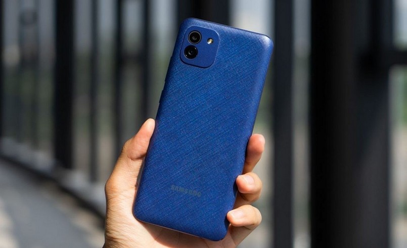 Mặt lưng nhám, có các đường vân đan chéo nhau