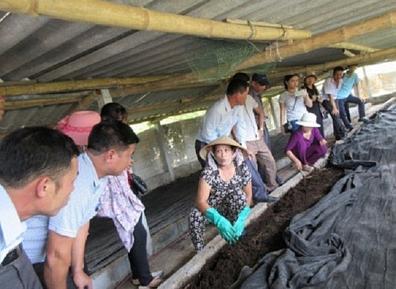 Nuôi con độc lạ thu lợi nhuận hàng tỷ đồng mỗi năm. 