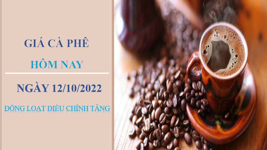Giá cà phê hôm nay 12/10/2022: Đồng loạt điều chỉnh tăng