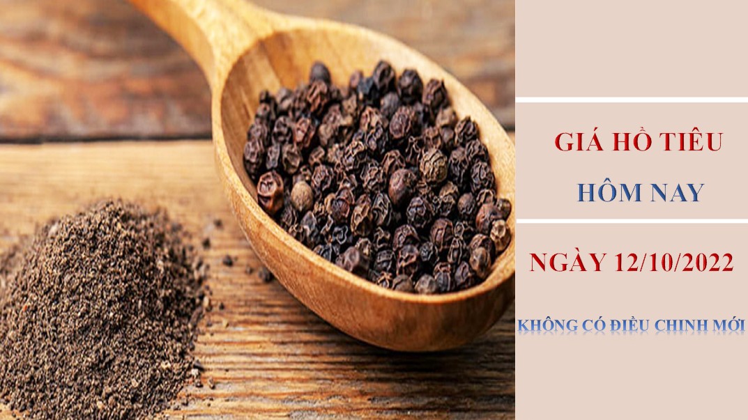 Giá hồ tiêu hôm nay 12/10/2022: Không có điều chỉnh mới