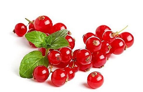 Những loại quả ở nước ngoài thường bỏ đi thì về Việt Nam lại có giá đắt đỏ.