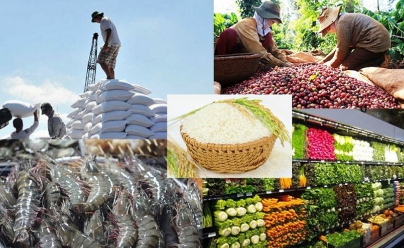 Nông sản là một trong những ngành hàng xuất khẩu chủ lực. Nông sản là một trong những ngành hàng xuất khẩu chủ lực.