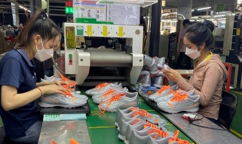 Vì sao hàng xuất khẩu Việt Nam gặp khó khăn tại các thị trường lớn?