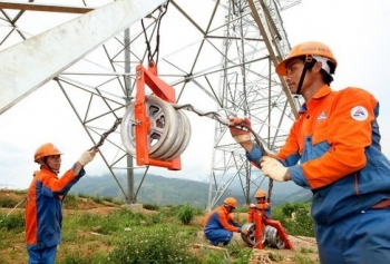 Nhiều lãnh đạo Sông Đà 11 bất ngờ nộp đơn từ nhiệm