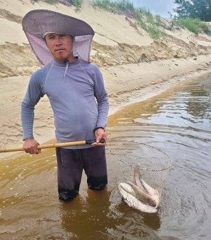 Hàng tấn cá lóc bị sét đánh chết ở Quảng Bình, nông dân lo trắng tay