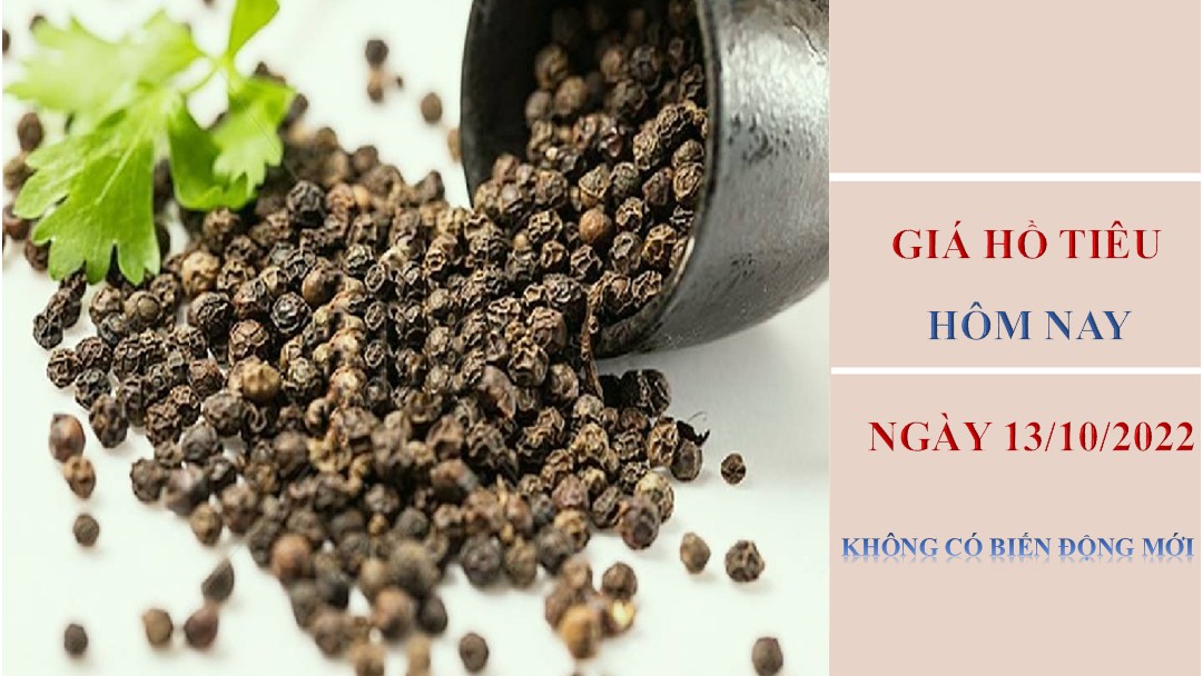 Giá hồ tiêu hôm nay 13/10/2022: Không có biến động mới