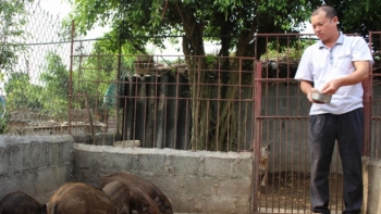 Nuôi con độc lạ, xu hướng chăn nuôi mới sau dịch bệnh