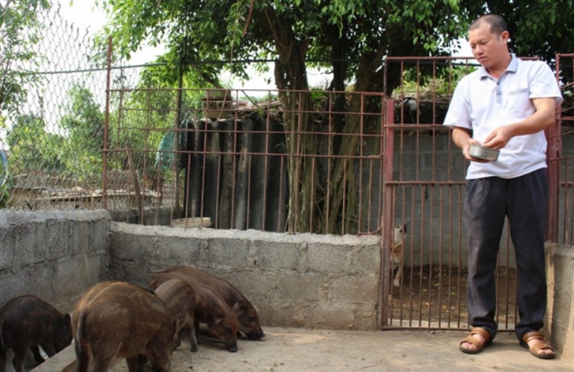 Nhiều hộ dân đã chuyển hướng sang nuôi con độc lạ và đem lại hiệu quả kinh tế cao.