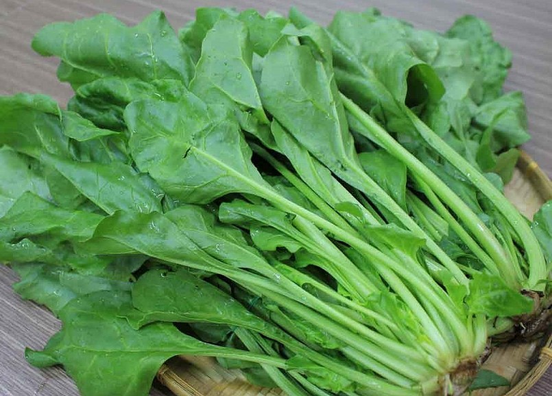 Cải bó xôi, thực phẩm giàu can xi.