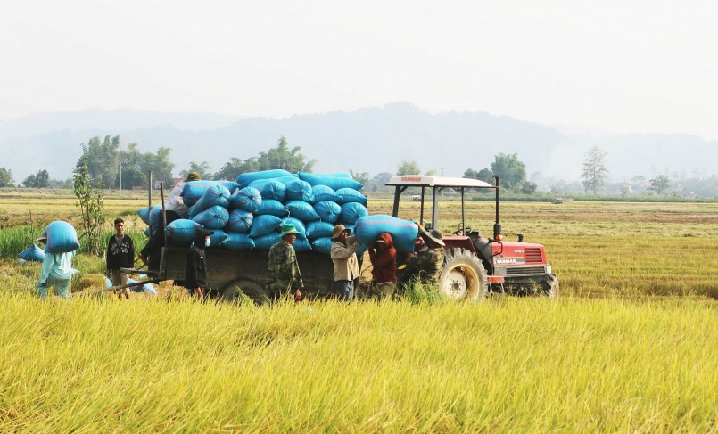 Cánh đồng Buôn Chóah rộng khoảng 700 ha. Cánh đồng Buôn Chóah rộng khoảng 700 ha.
