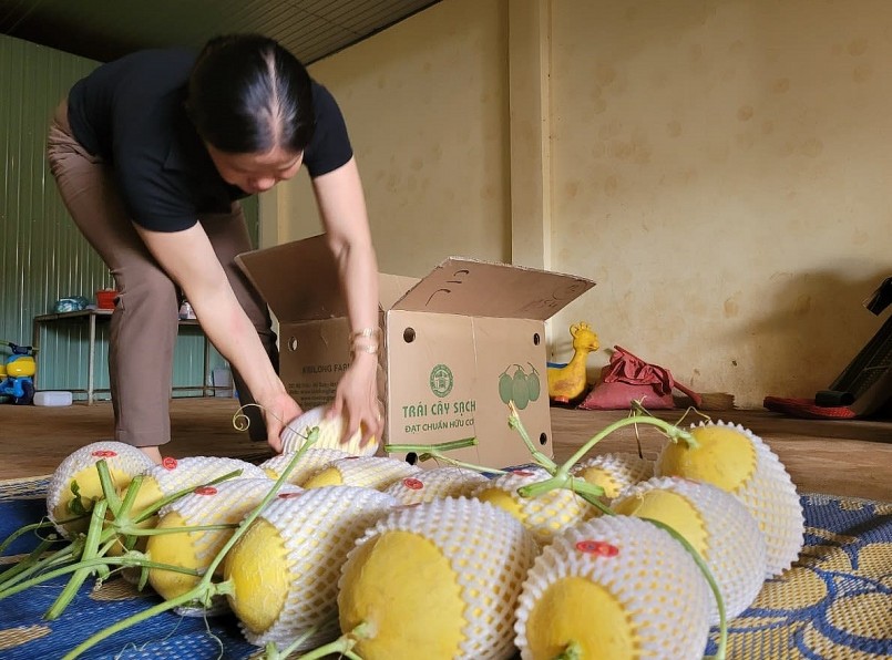 Chỉ cần sử dụng điện thoại, ngồi ở nhà nhưng bà Nguyễn Thị Ngọc Sen vẫn kết nối với khách hàng cả nước.