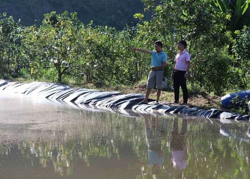 Sau khi ủ men, phân vi sinh được pha với nước mưa để làm phân bón cho 7 ha trồng cây ăn quả chất lượng cao của gia đình anh Bùi Công Thành.