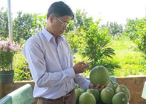 Nông sản Đăk Nông dần tiếp cận với thương mại điện tử.