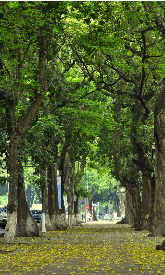 Những điểm chụp ảnh mùa thu Hà Nội tuyệt đẹp không thể bỏ qua