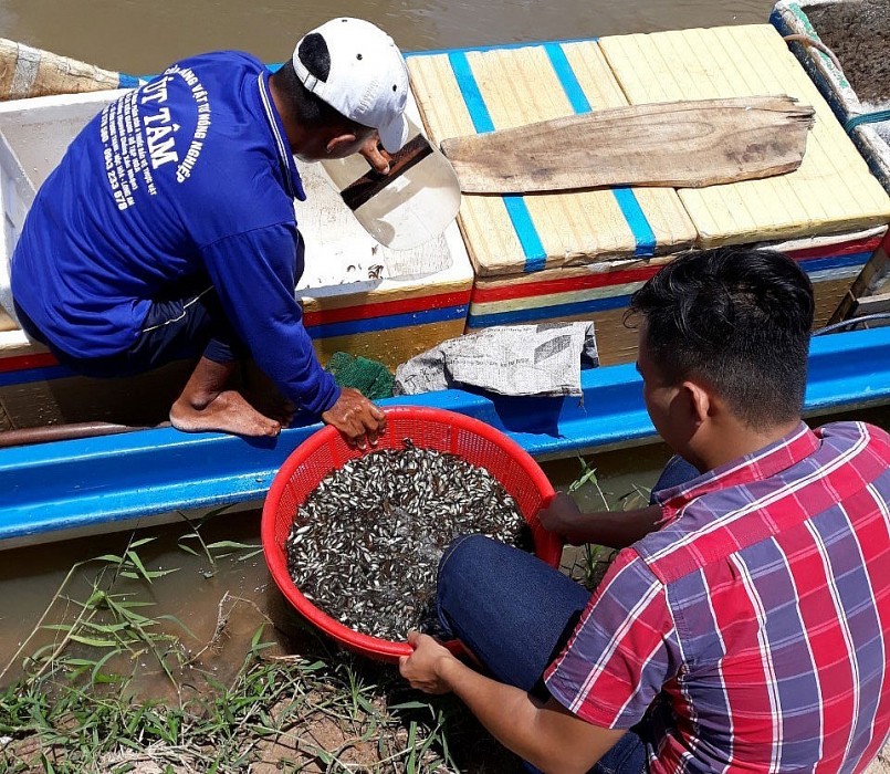 Tuy vất vả, nhưng những sản vật theo nước lũ đã tạo nên những nghề mưu sinh độc đáo vùng sông nước.