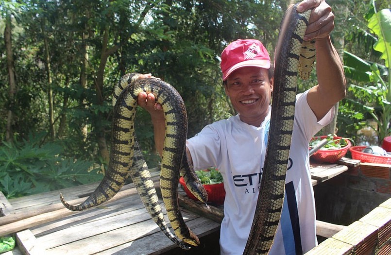 Đến hết mùa lũ, kiếm được vài chục triệu đồng là chuyện bình thường.