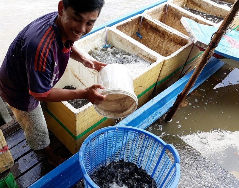 Lũ đến, người dân vùng Đồng Tháp Mười lại tất bật chuẩn bị đồ nghề.